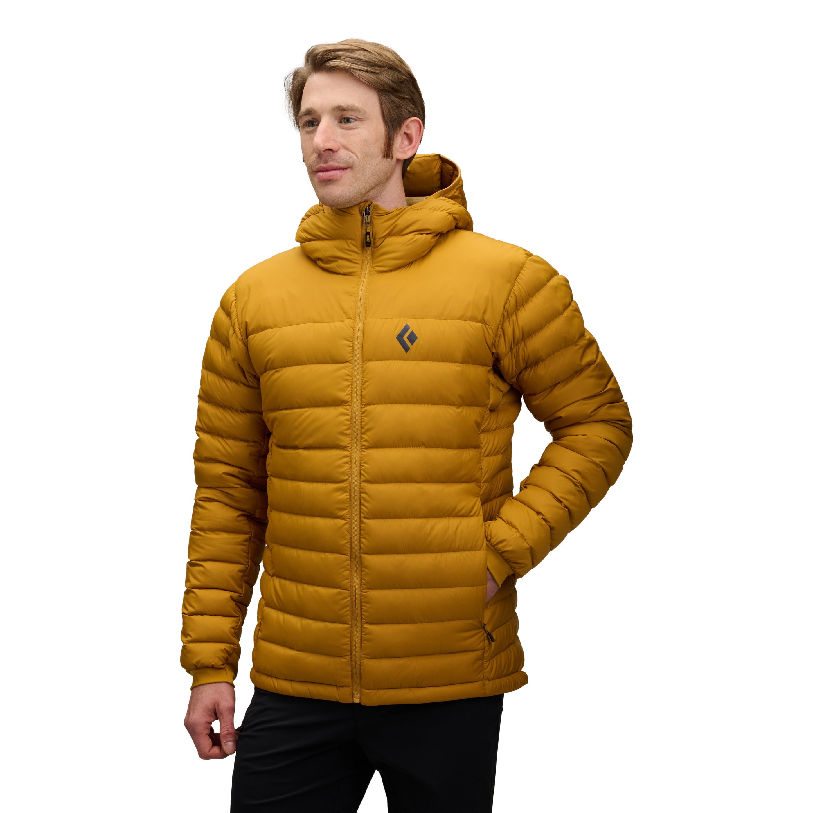 Men's Access Down 2.0 Hoody