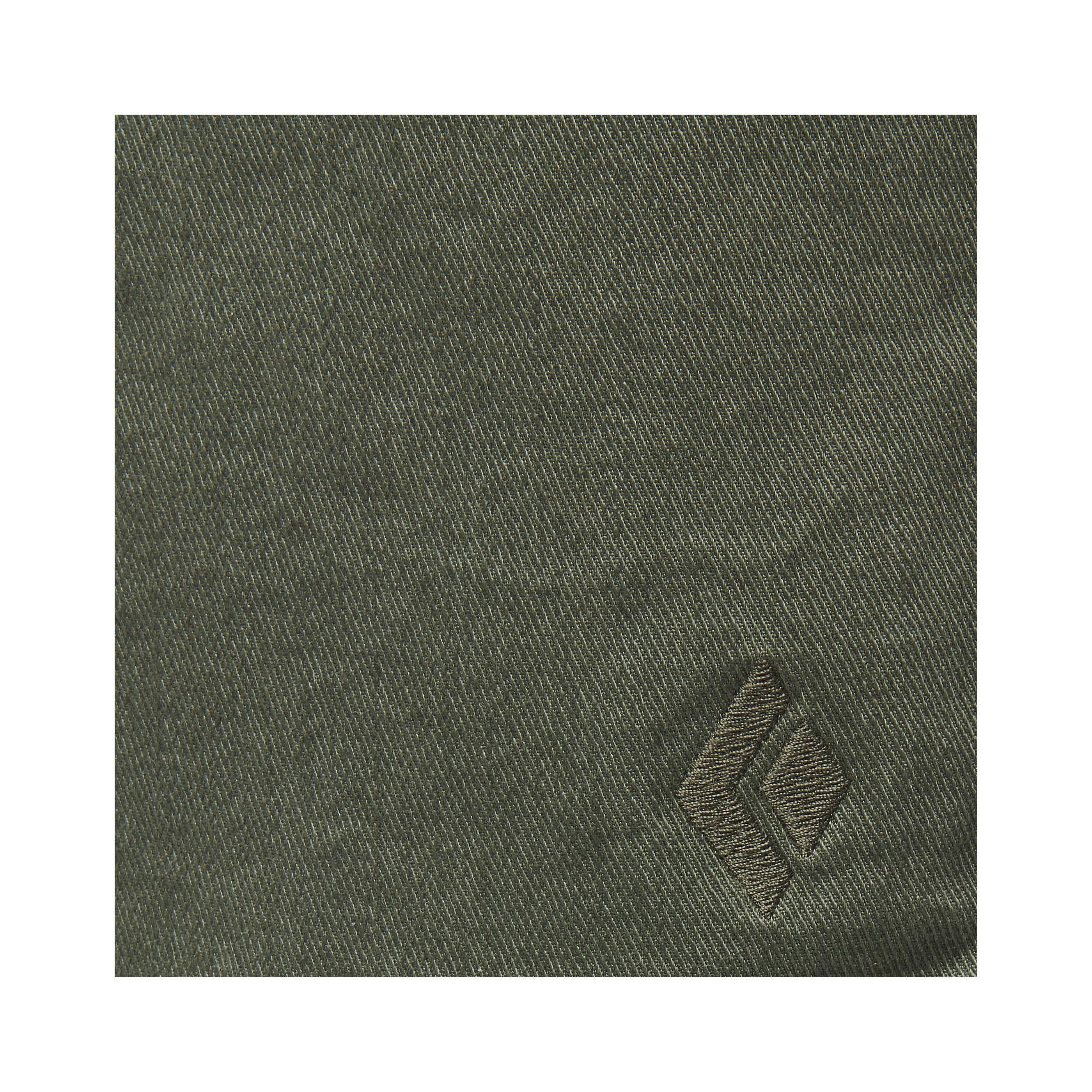 Men's Dirtbag Twill Shorts